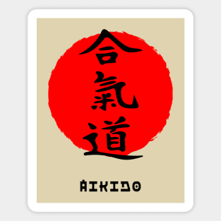 Aikido martial art sport Japan Japanese kanji words character 164 Magnet